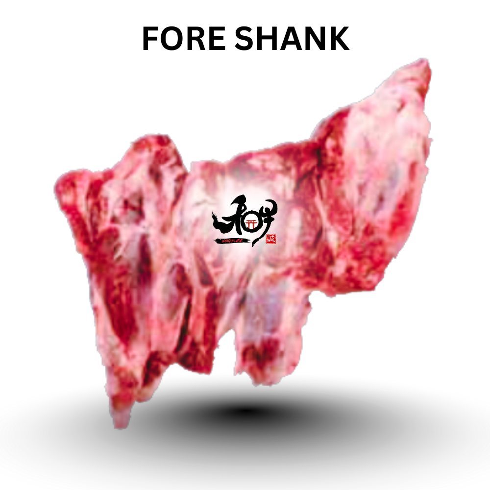 Fore Shank